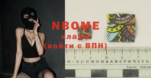 шишки Алзамай