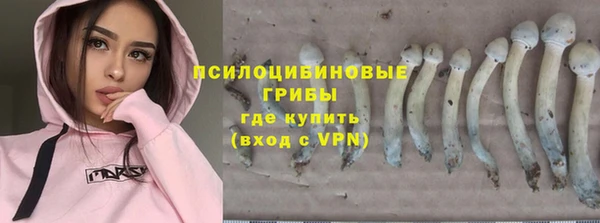 шишки Алзамай