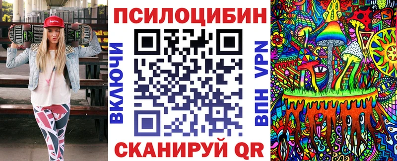 shop наркотические препараты  Шимановск  Псилоцибиновые грибы Cubensis 
